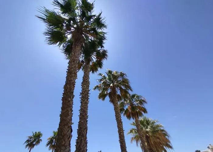 Apartament Sao Rafael Ocean View *